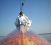 zeilschip mon desir kluiverboom meisje waddenzee