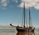 droogallen waddenzee 