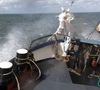 zout water en zilte zeelucht