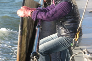 VVZ zeilt de Brandarisrace