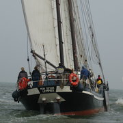 Groepen 2006