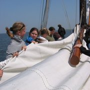 Groepen 2006