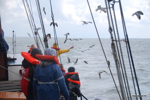 Texel en terug in slechts 2 dagen