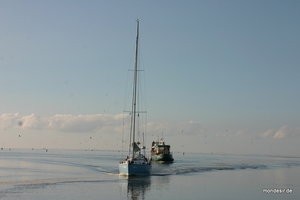 Traumhaftes Trockenfallen, abendliches Ankern, sonniges Segeln